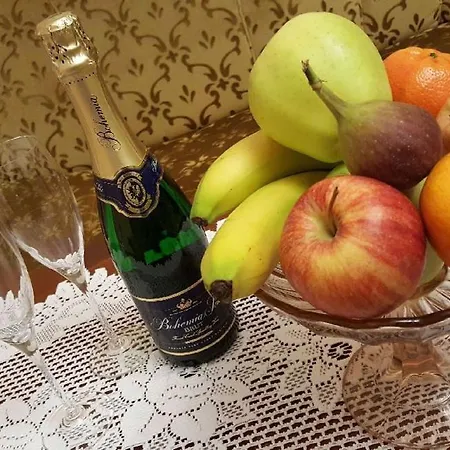 Pension Napoleon Karlowe Wary Zewnętrze zdjęcie